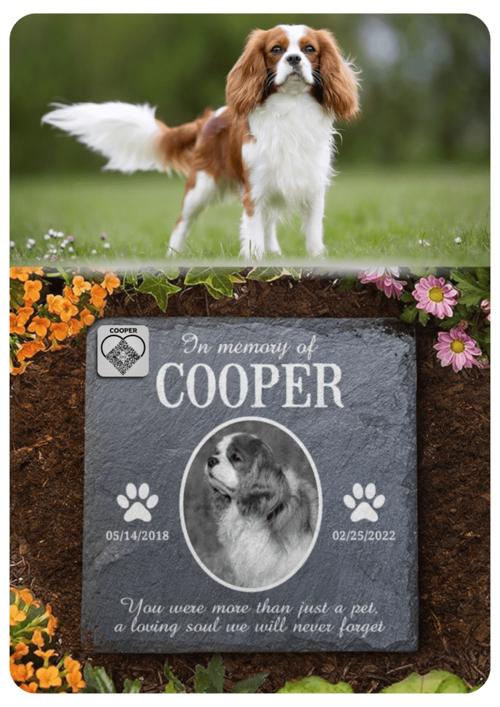 Pet memorial south africa online